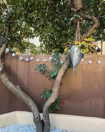 Chicca House פירנצה